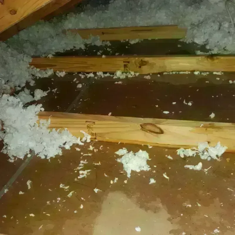 Attic Water Damage in Sharon, MS