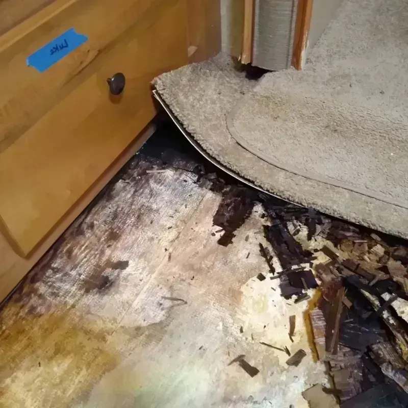 Wood Floor Water Damage in Sharon, MS